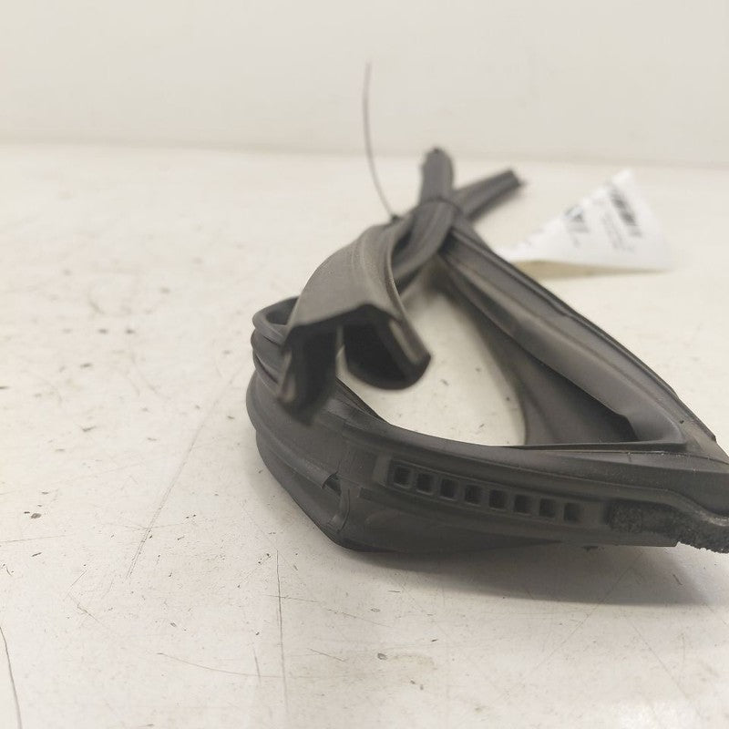 Toyota Prius Door Glass Window Seal Rubber Left Driver Rear Back  2022