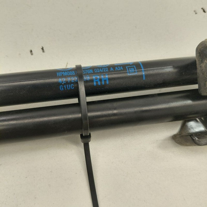 Chevy Trax Hatchback Hatch Back Trunk Lid Shock Strut Support  2022 20