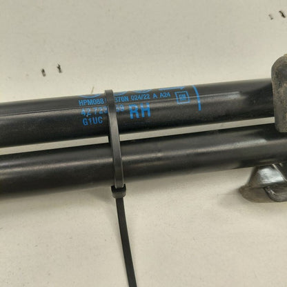 Chevy Trax Hatchback Hatch Back Trunk Lid Shock Strut Support  2022 20