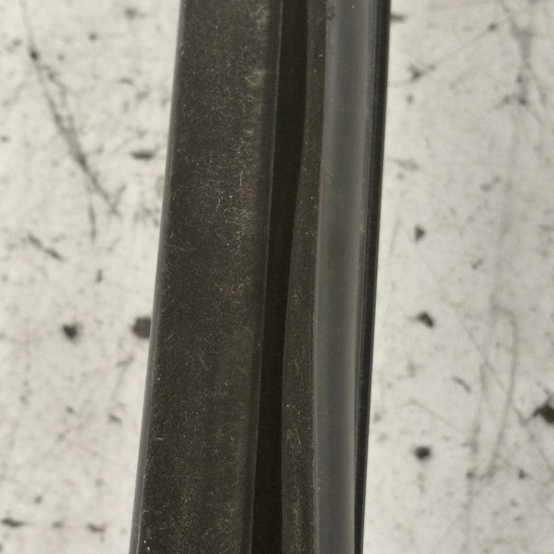 Ford Edge Door Glass Window Seal Rubber Right Passenger Rear Back 2019