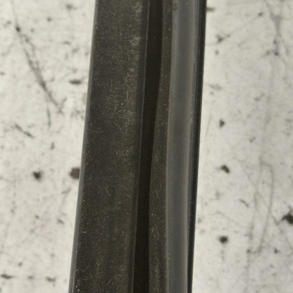 Ford Edge Door Glass Window Seal Rubber Right Passenger Rear Back 2019