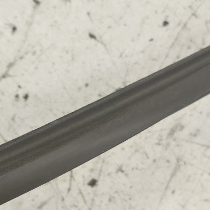 Ford Edge Door Glass Window Seal Rubber Right Passenger Rear Back 2019