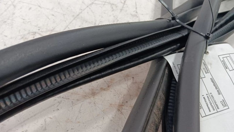 Nissan Maxima On Body Door Jamb Seal Gasket Front Left Driver  2018 2019 2020