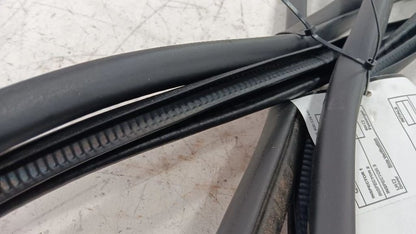 Nissan Maxima On Body Door Jamb Seal Gasket Front Left Driver  2018 2019 2020