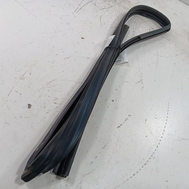 Kia Optima Door Glass Window Seal Rubber Left Driver Front  2018 2017 