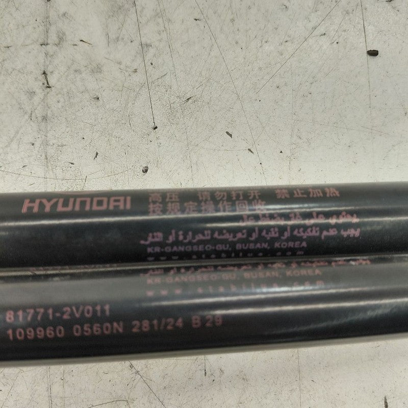 Hyundai Veloster Hatchback Hatch Back Trunk Lid Shock Strut Support  2