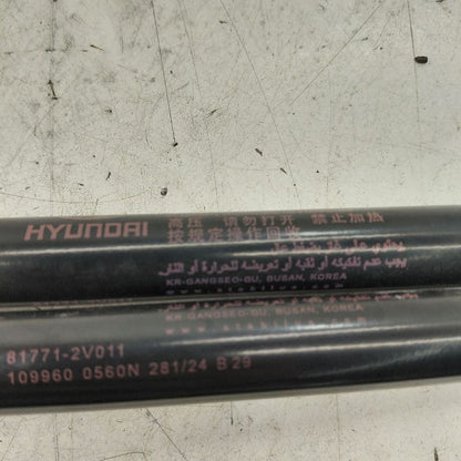 Hyundai Veloster Hatchback Hatch Back Trunk Lid Shock Strut Support  2