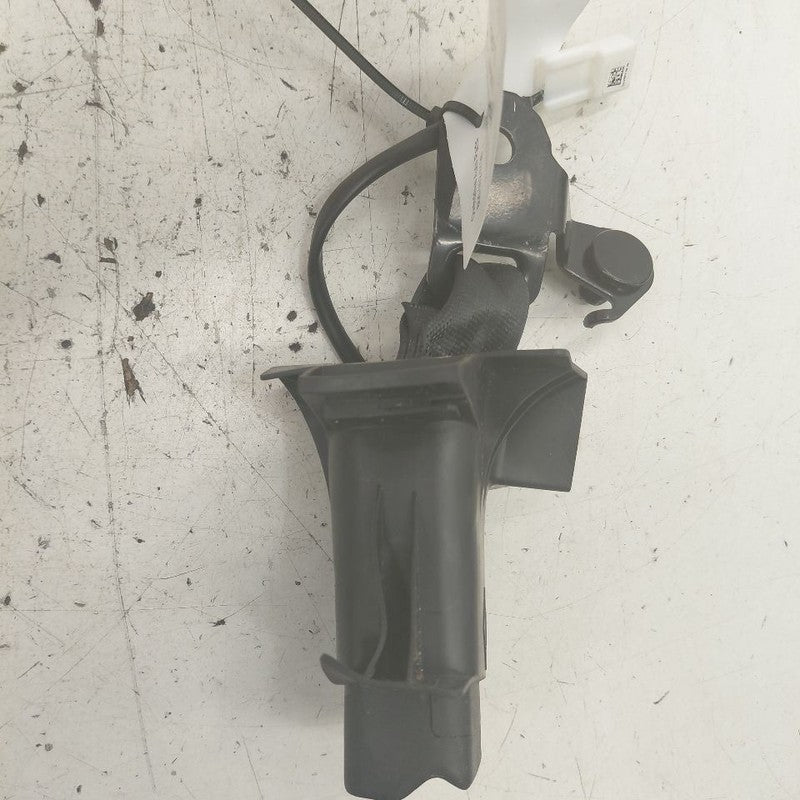 Lexus NX350 Seat Belt Buckle Latch Right Passenger Rear Back 2022 2023