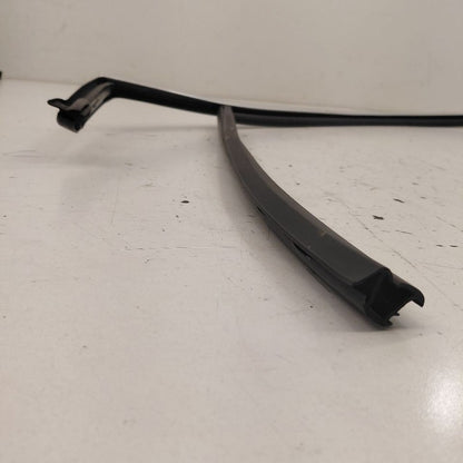 Chevy Volt Door Glass Window Seal Rubber Left Driver Front  2016 2017 