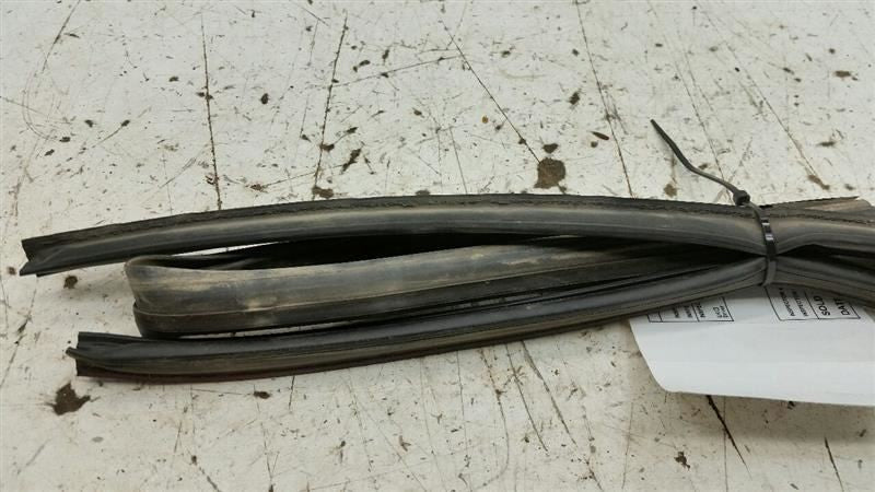 Nissan Sentra On Door Seal Rubber Gasket Right Passenger Front 2004 20