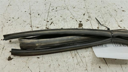 Nissan Sentra On Door Seal Rubber Gasket Right Passenger Front 2004 20