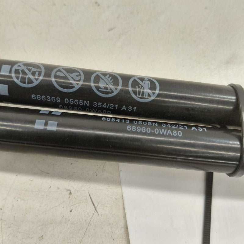 Toyota Prius Hatchback Hatch Back Trunk Lid Shock Strut Support  2022 