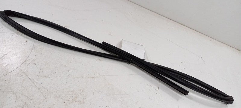 Toyota Corolla Door Glass Window Seal Rubber Right Passenger Front 201