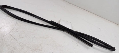 Toyota Corolla Door Glass Window Seal Rubber Right Passenger Front 201