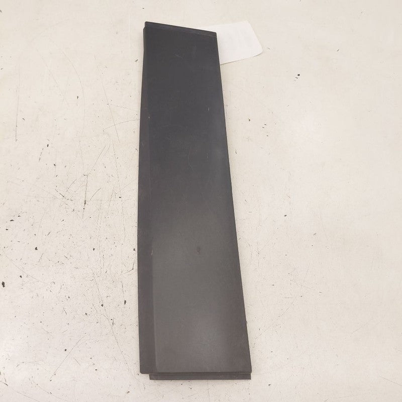 Jeep Cherokee Door Molding Trim Strip Left Driver Side Rear Back  2019