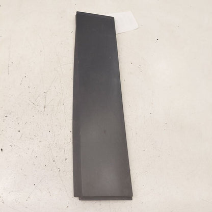 Jeep Cherokee Door Molding Trim Strip Left Driver Side Rear Back  2019