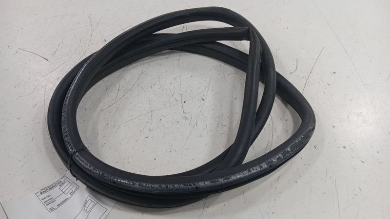 Infiniti G37 On Body Door Jamb Seal Rear Left Back  2009 2010 2011 2012 2