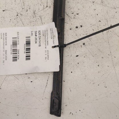 Nissan Versa Note Door Glass Window Weather Strip Front Right Passenge