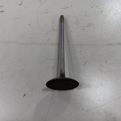 Jeep Compass 2.4 Cylinder Head Intake Valve 2017 2018 2019 2020 2021 2
