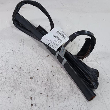 Ford Taurus Door Glass Window Seal Rubber Right Passenger Rear Back  2