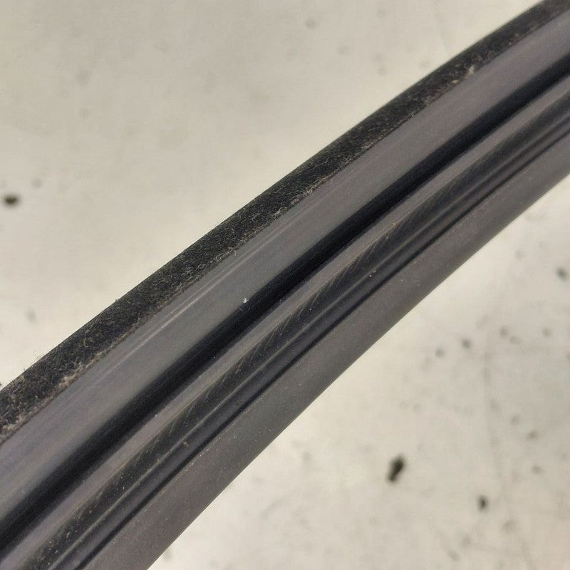 Volvo S60 Door Glass Window Seal Rubber Left Driver Rear Back  2018 20