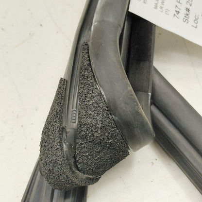 Ford Ecosport Door Glass Window Seal Rubber Left Driver Rear Back 2020