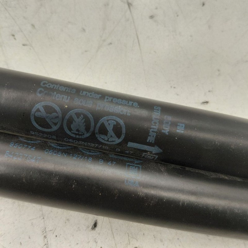 Chevy Volt Hatchback Hatch Back Trunk Lid Shock Strut Support  2019 20