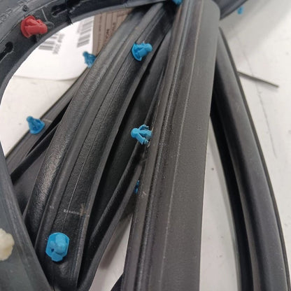 Jeep Compass On Door Seal Rubber Right Passenger Rear Back  2018 2019 2020 2021 
