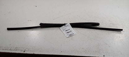 Scion XB Door Glass Window Seal Rubber Right Passenger Rear Back 2004 