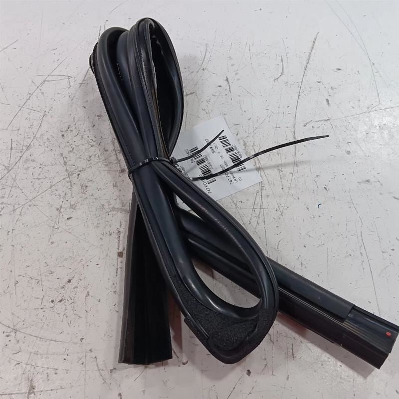 Ford Ecosport Door Glass Window Seal Rubber Left Rear Back  2018 2019 