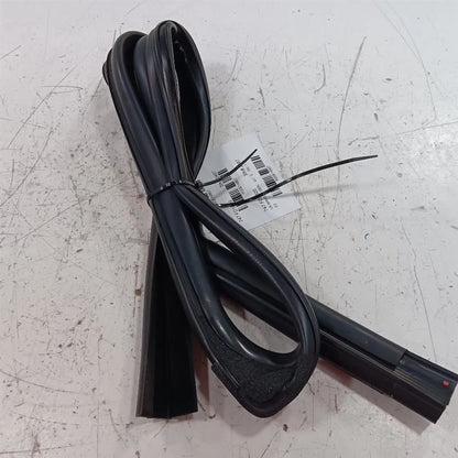 Ford Ecosport Door Glass Window Seal Rubber Left Rear Back  2018 2019 