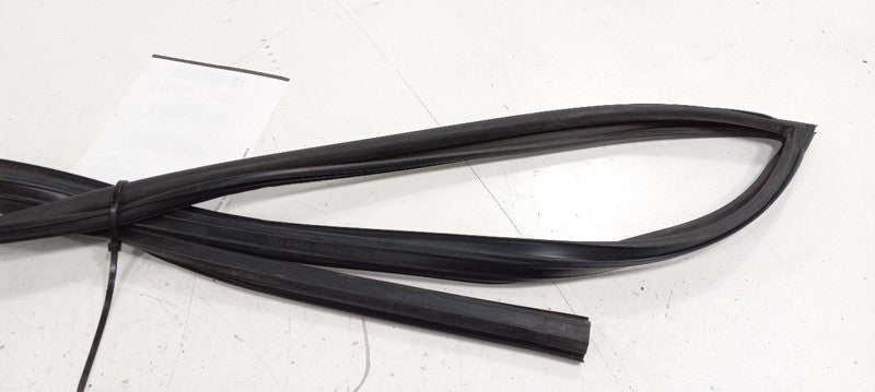 Subaru Tribeca Door Glass Window Seal Rubber Right Passenger Front 201