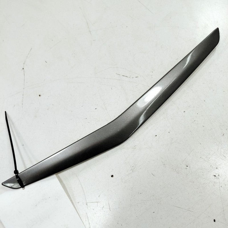 Ford Ecosport Driver Left Front Door Molding {GN15A27443} 2018 2019 20