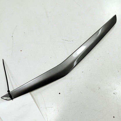 Ford Ecosport Driver Left Front Door Molding {GN15A27443} 2018 2019 20