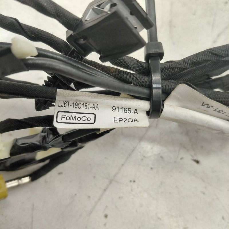 Ford Escape Radio Atenna Cable {LJ6T19C181AA} 2020 2021 2022
