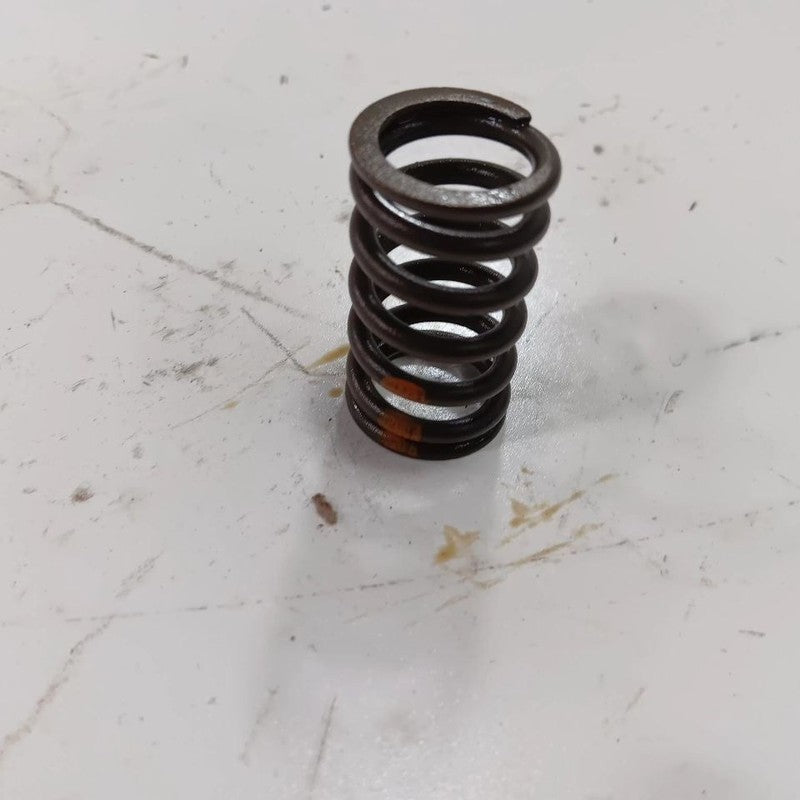 Jeep Compass 2.4 Cylinder Head Intake Valve Spring 2017 2018 2019 2020