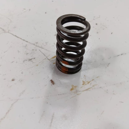 Jeep Compass 2.4 Cylinder Head Intake Valve Spring 2017 2018 2019 2020