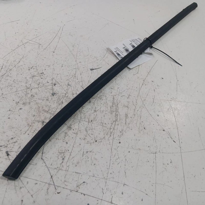 Hyundai Tucson Door Glass Window Weather Strip Trim Rear Left Back  2019 