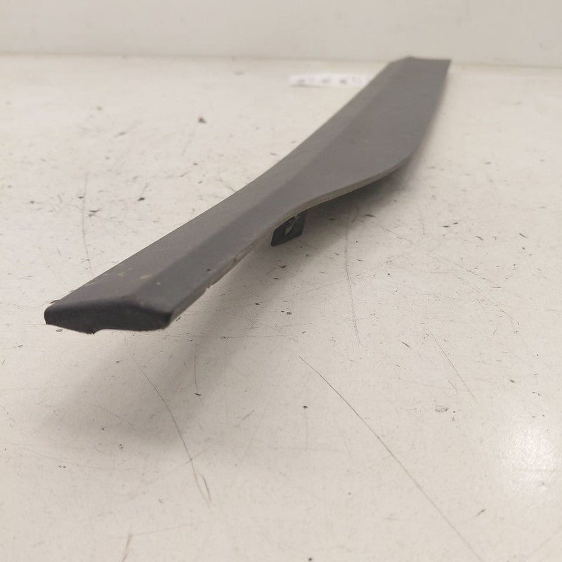 Hyundai Kona Door Molding Trim Strip Right Passenger Side Front  2021 