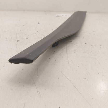Hyundai Kona Door Molding Trim Strip Right Passenger Side Front  2021 