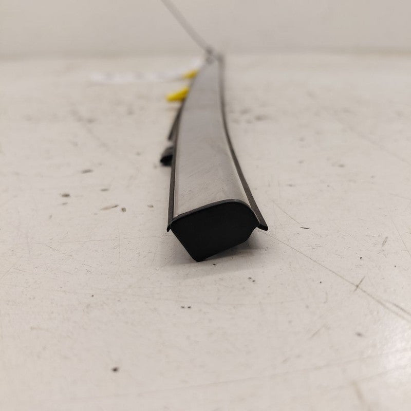 Honda CR-V Door Glass Window Weather Strip Trim Rear Left Driver Back 
