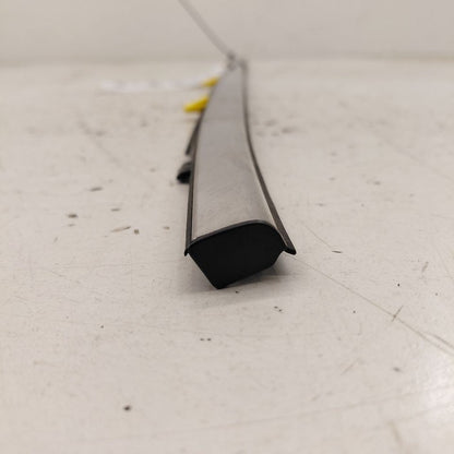 Honda CR-V Door Glass Window Weather Strip Trim Rear Left Driver Back 