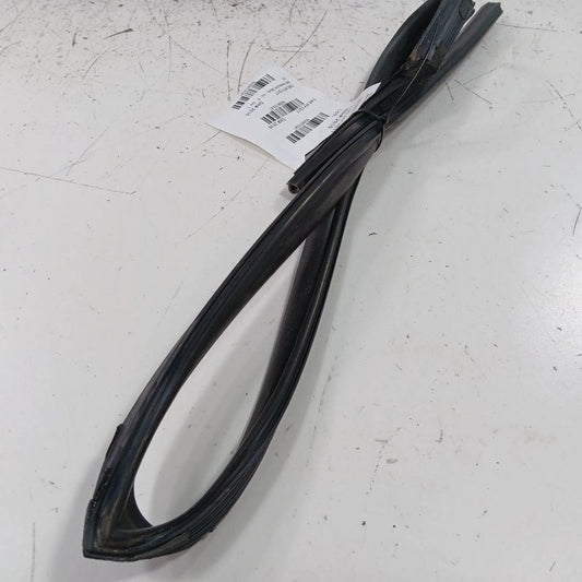 Hyundai Elantra Door Glass Window Seal Rubber Right Passenger Rear Back  2017 
