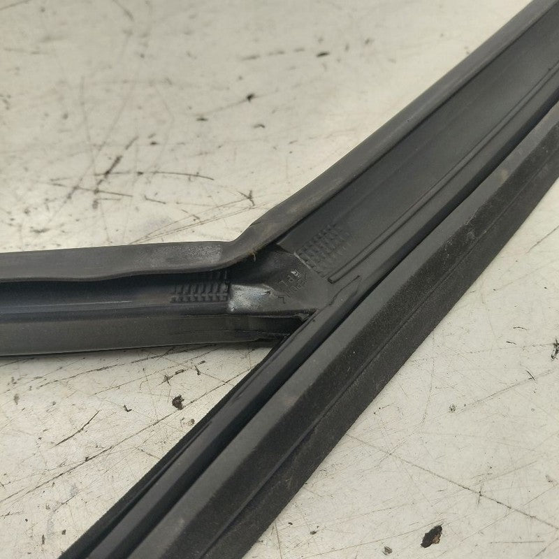 Kia Sorento Door Glass Window Seal Rubber Left Driver Front  2018 2017
