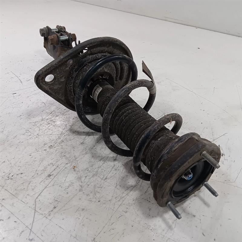 Left Strut Rear VIN D 5th Digit 4 Cylinder Hybrid Fits 12-17 CAMRY