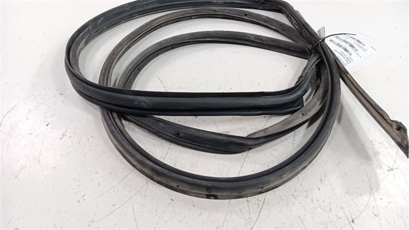 Buick Encore On Door Seal Rubber Left Rear Back 2016 2017 2018 2019