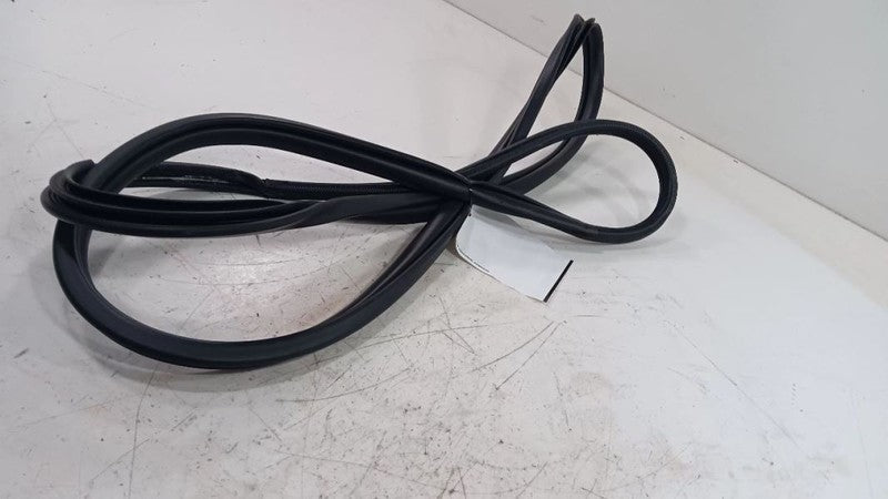 Toyota Camry On Body Door Jamb Seal Front Right Passenger  2021 2022 2