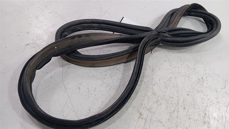 Dodge Dart Trunk Lid Hatch Door Rear Back Rubber Seal  2013 2014 2015 2016