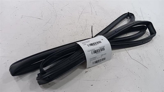 Ford Escape On Door Seal Rubber Left Rear Back  2020 2021 2022 2023 OE