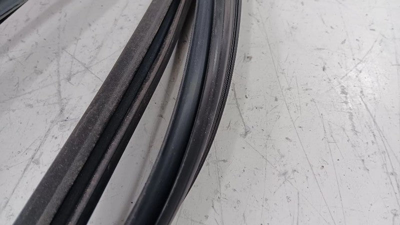 Kia Forte Door Glass Window Seal Rubber Left Rear Back  2014 2015 2016